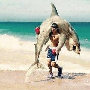 Meet your Posher, Jonathan